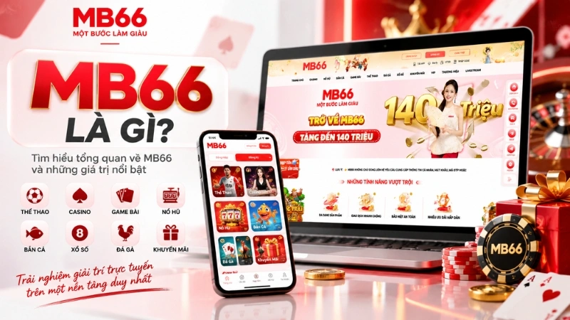 Tổng quan MB66 và các nhóm sản phẩm trên nền tảng